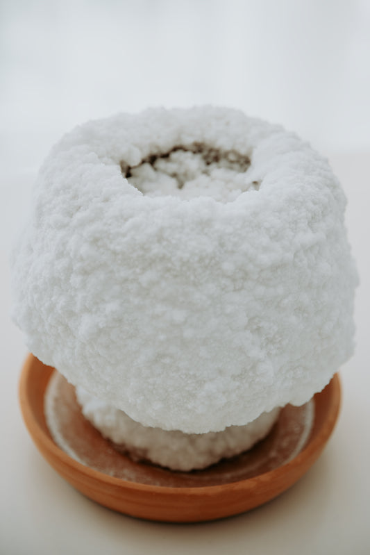 SALSAMED Salzkelch – Natur (unglasiert), Größe "M"